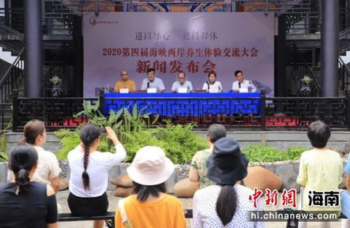 定安新闻 中国新闻网海南