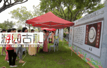 第九届海峡论坛首场重要活动 海峡两岸龙舟文化节明开幕 美食庙会 捉鸭赛 童玩 古礼 曲艺 厦门人真正的端午来了